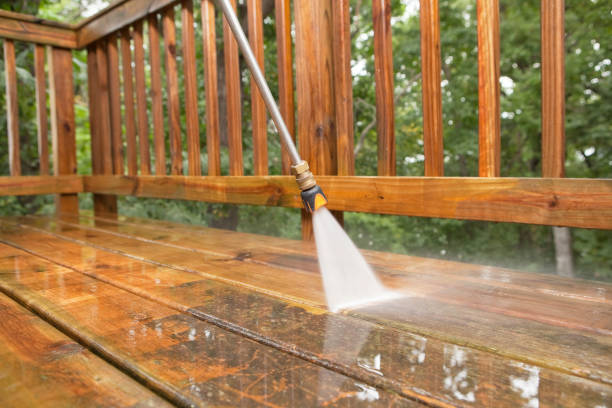 Trusted Lake Panasoffkee, FL Pressure Washing Experts